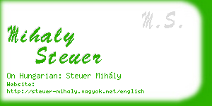 mihaly steuer business card